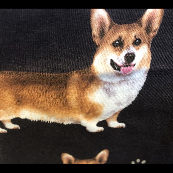 corgi in pants